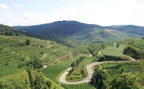 Landgasthof Zum Lamm 발링헨 외부 사진